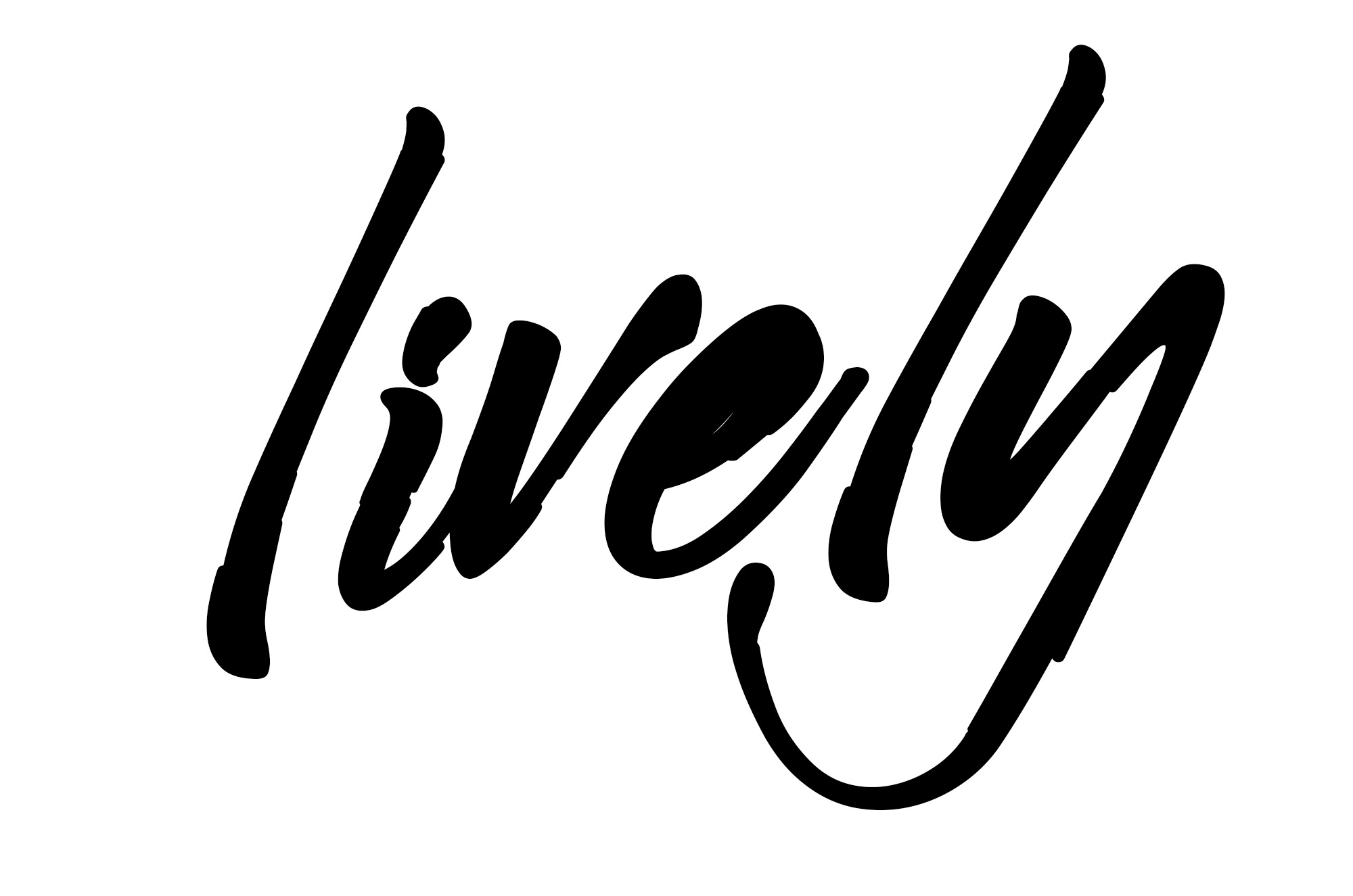 Lively Media LLC